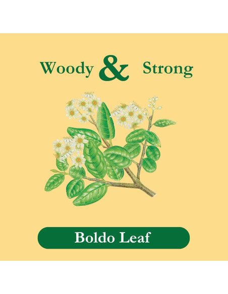 Té Herbal Boldo Tadin, Sin Cafeína, 144 Cuentos