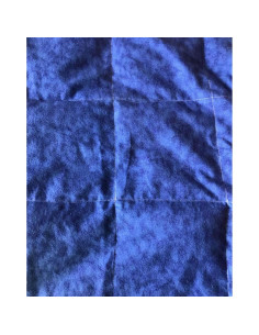 Manta con peso para niños Aunt Sandy's 2.27 kg coches 2