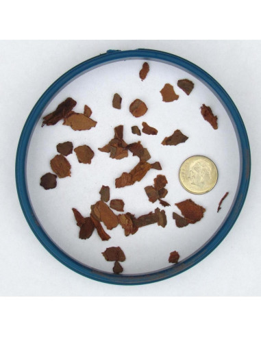 Corteza de Pino para Bonsai Bonsai Jack 1 Galón