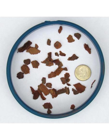 Corteza de Pino para Bonsai Bonsai Jack 1 Galón