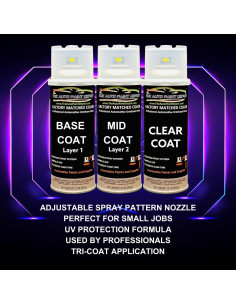 Pintura de Retoque Hyundai WW8 - Auto Paint Depot 18 Oz 2