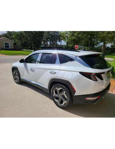 Pintura de Retoque Hyundai WW8 - Auto Paint Depot 18 Oz