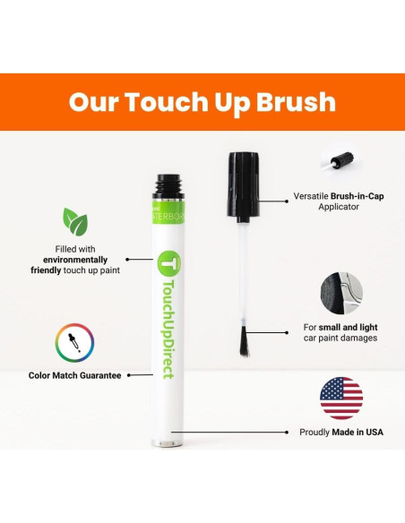 Pintura de Retoque TouchUpDirect Iridium Metallic - Kit Esencial