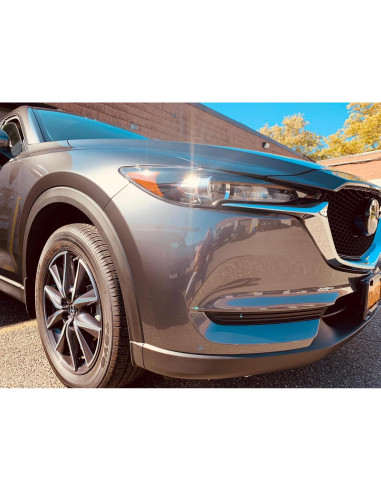 Acabado Brillante Transparente Auto Paint Depot 29.57 ml