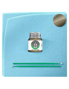 Pintura Automotriz ERA - Verde Otoño Metálico 7.39 ml