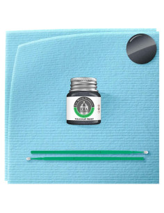 Pintura Automotriz ERA P8Y Gris Metálico Magnetita 7.39 ml