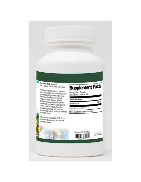 Sorrel de Oveja 450 mg TerraVita 100 Cápsulas Sin Rellenos