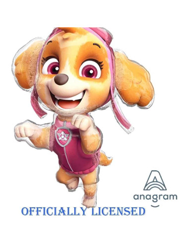 Globos de Cumpleaños Paw Patrol Anagram 11 Piezas Multicolor