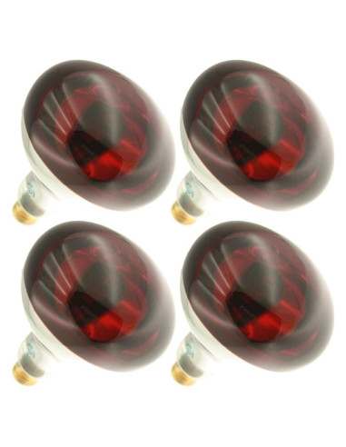 Bombilla Infrarroja R40 250W E26 130V 4 Unidades