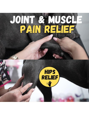 Aceite de Masaje para Perros Kelebs con Árnica 240g