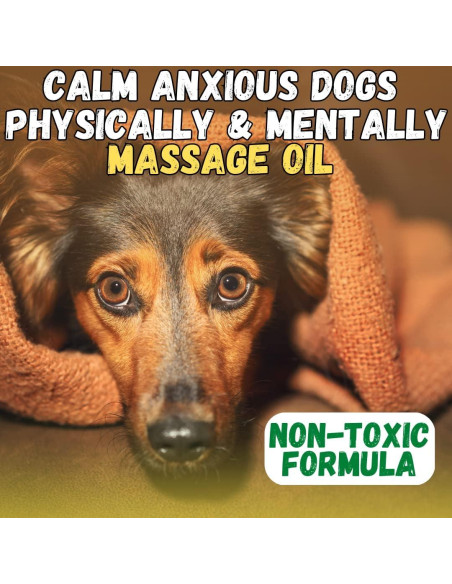 Aceite de Masaje para Perros Kelebs con Árnica 240g