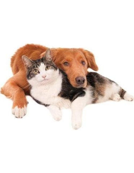 Suplemento de Salud Total para Mascotas My Lucky Pets - 180 Tabletas