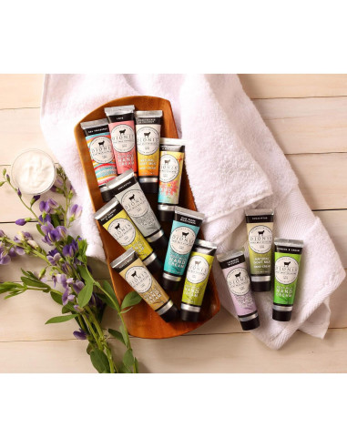 Crema de Manos Aromatizada Dionis con Especias de Calabaza 28g