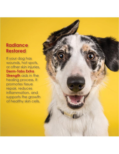 Derm-Tabs Extra Fuerza para Perros - 60 Tabletas Masticables