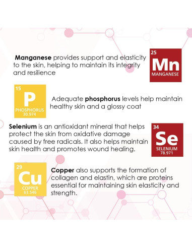 Derm-Tabs Extra Fuerza para Perros - 60 Tabletas Masticables