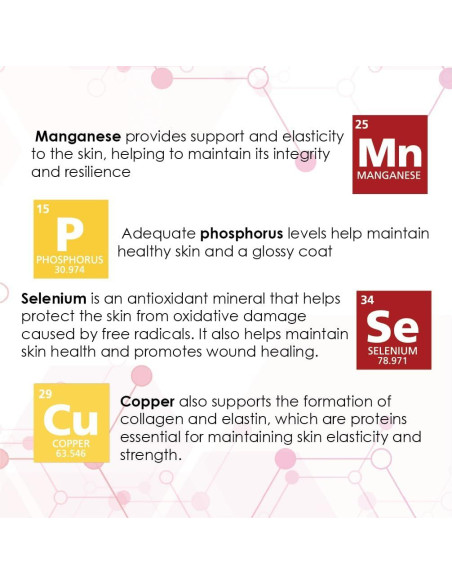 Derm-Tabs Extra Fuerza para Perros - 60 Tabletas Masticables