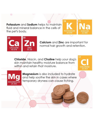 Derm-Tabs Extra Fuerza para Perros - 60 Tabletas Masticables