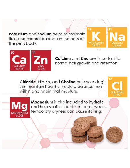 Derm-Tabs Extra Fuerza para Perros - 60 Tabletas Masticables