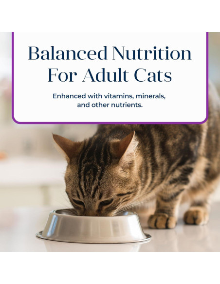 Comida Húmeda para Gatos Blue Buffalo Basics Pavo 85g x24