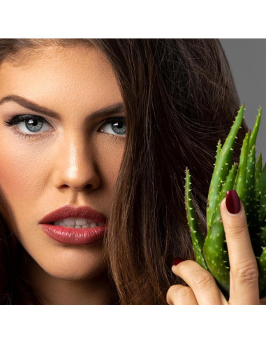 Pintalabios L'Paige L22 Mulberry Aloe Vera 4.5g Hidratante