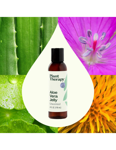 Gel de Aloe Vera Plant Therapy 113 g Sin Fragancia Hidratante