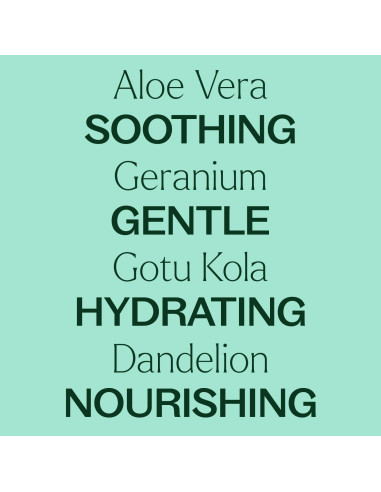 Gel de Aloe Vera Plant Therapy 113 g Sin Fragancia Hidratante