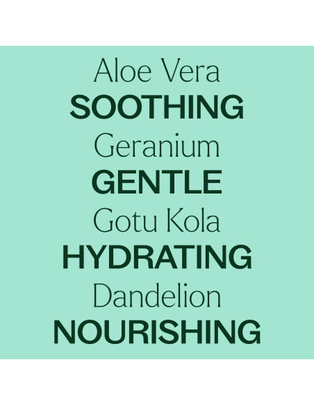 Gel de Aloe Vera Plant Therapy 113 g Sin Fragancia Hidratante