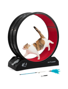 Rueda de Ejercicio para Gatos COZIWOW Negra 70 cm