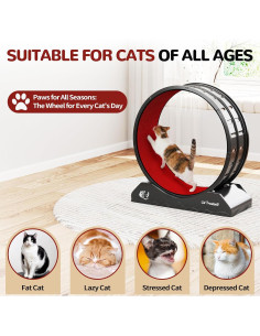 Rueda de Ejercicio para Gatos COZIWOW Negra 70 cm 2