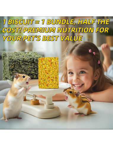 Galletas Crujientes para Conejos GREMBEB 10pcs Heno Timothy