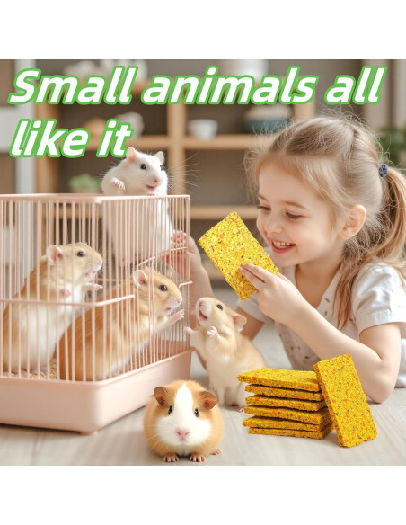 Galletas Crujientes para Conejos GREMBEB 10pcs Heno Timothy