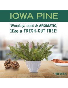 Limpiador Multi-Superficie Mrs. Meyer's Pino Iowa 3x473ml 2