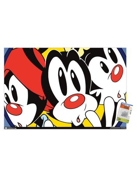 Póster de Pared Animaniacs Trends International 56.7x86.4cm