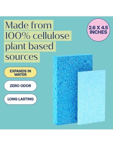 Esponjas Pop-Up Fab Tab - 12 Esponjas de Celulosa Absorbentes