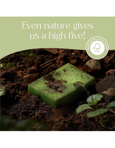 Esponjas Pop-Up Fab Tab - 12 Esponjas de Celulosa Absorbentes