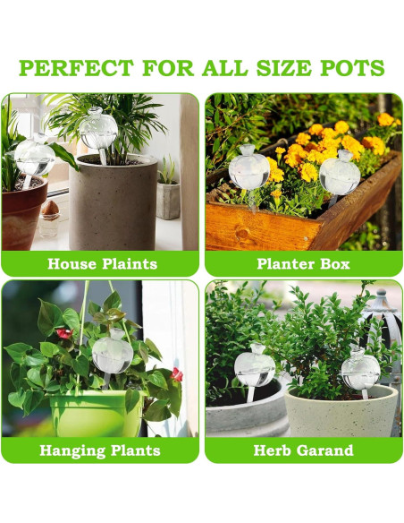 Esferas de Riego Automáticas Mumiuu 6PCS para Plantas