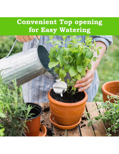 Esferas de Riego Automáticas Mumiuu 6PCS para Plantas