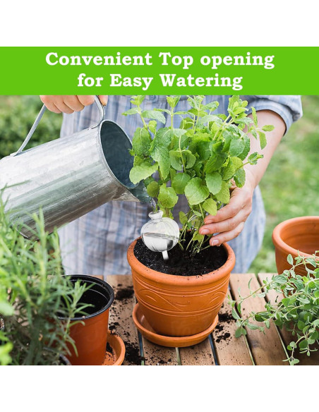 Esferas de Riego Automáticas Mumiuu 6PCS para Plantas