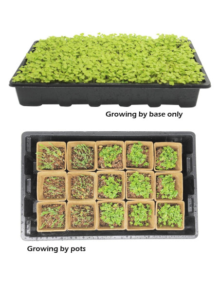 Kit de Inicio de Semillas Taietc - 100 Macetas de Turba Cuadradas