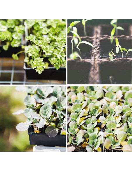 Kit de Inicio de Semillas Taietc - 100 Macetas de Turba Cuadradas