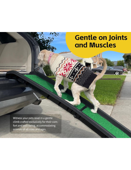 Rampa Plegable para Mascotas PawStep 50894 - Césped Antideslizante - Soporta 90.72 kg