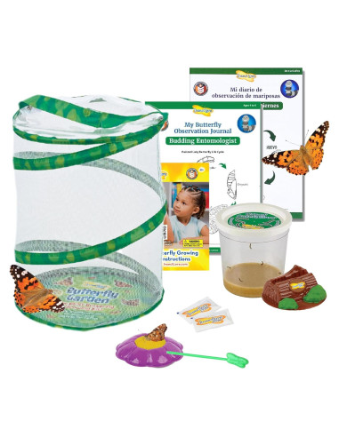Jardín de Mariposas Insect Lore con 5 Orugas Vivas y Diario STEM