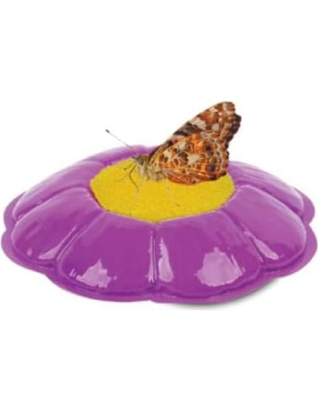 Jardín de Mariposas Insect Lore con 5 Orugas Vivas y Diario STEM