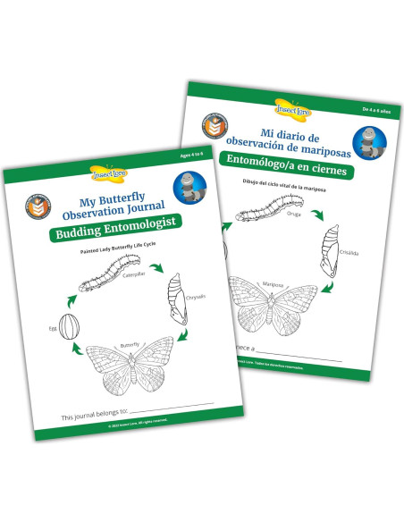 Jardín de Mariposas Insect Lore con 5 Orugas Vivas y Diario STEM