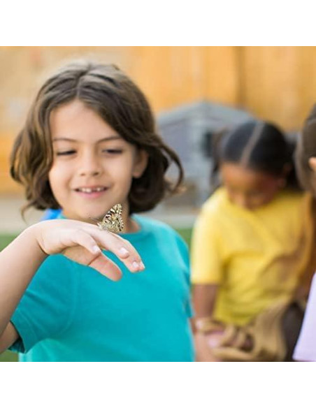 Jardín de Mariposas Insect Lore con 5 Orugas Vivas y Diario STEM