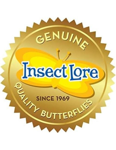Jardín de Mariposas Insect Lore con 5 Orugas Vivas y Diario STEM
