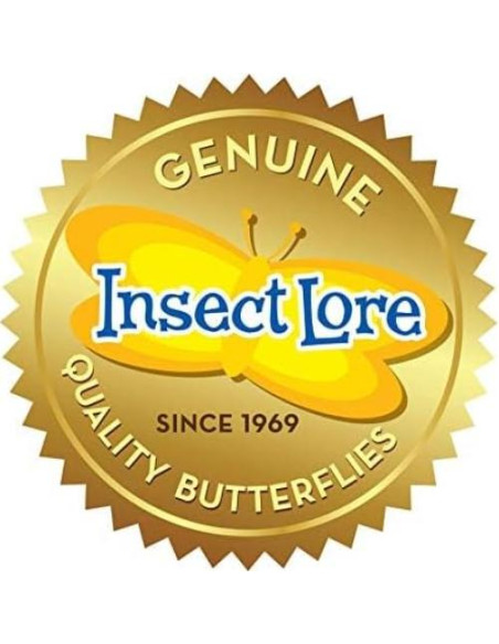 Jardín de Mariposas Insect Lore con 5 Orugas Vivas y Diario STEM