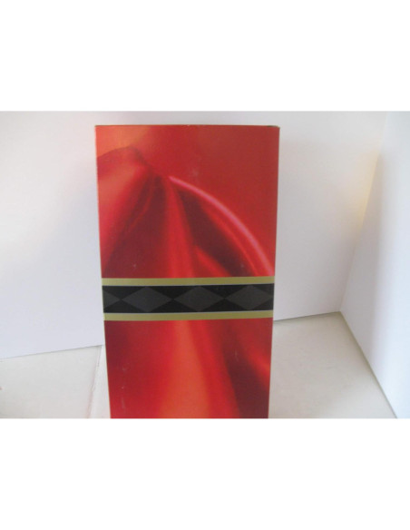 Muñeca Barbie Afroamericana Edición Especial Invernal 34.5cm