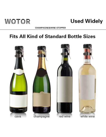 Tapones de Vino y Champagne WOTOR Acero Inoxidable 2 Piezas