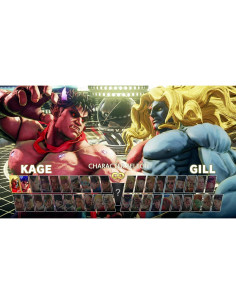 Street Fighter V Edición Campeón - PS4 - 40 personajes y 34 escenarios 2